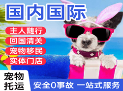 金湾航空快运国际宠物托运 【国